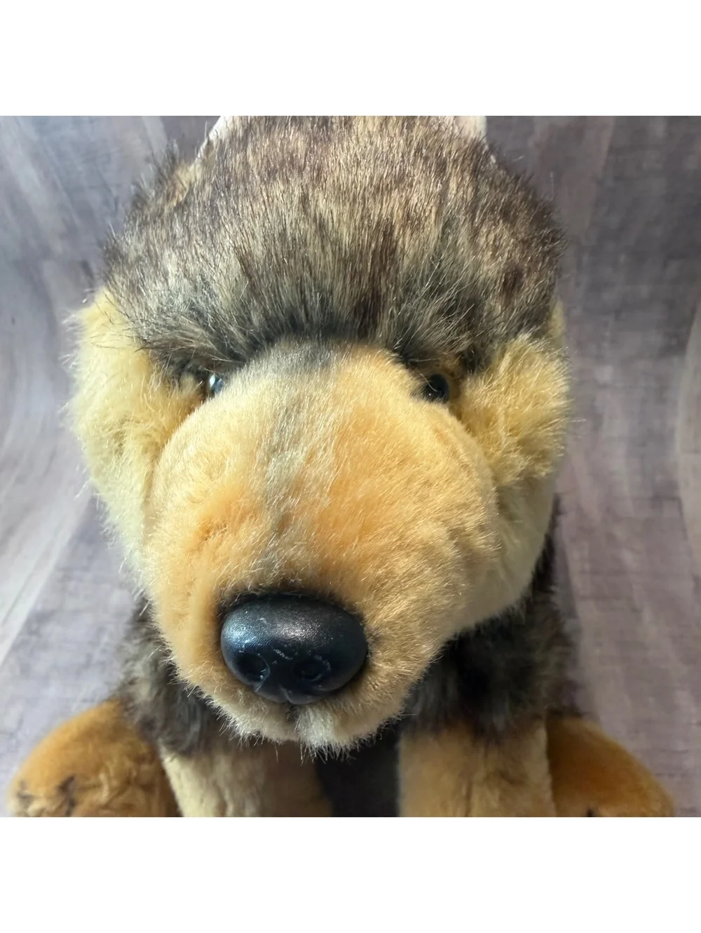 Forever Twilight In Forks Forks, WA Wolf Plush 9